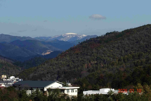 画像の説明 画像の説明