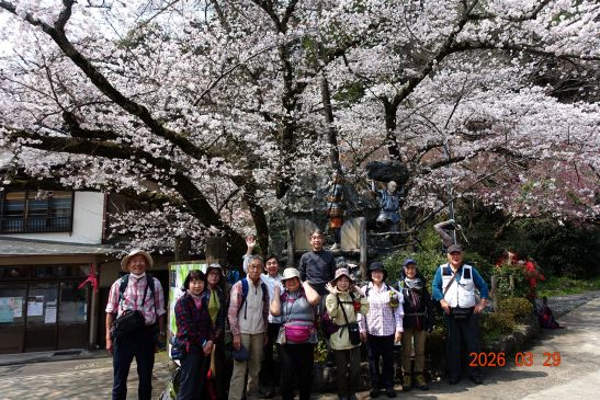 画像の説明 画像の説明