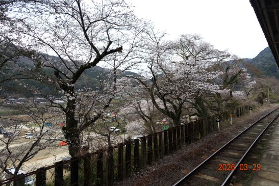 画像の説明 画像の説明