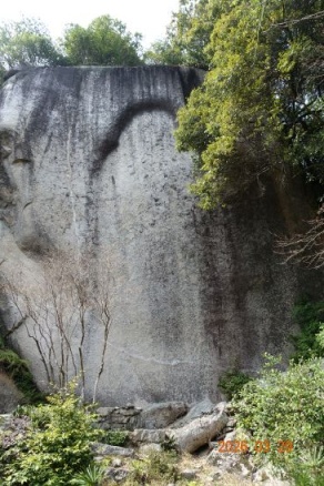 画像の説明 画像の説明