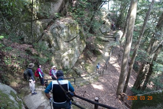 画像の説明 画像の説明