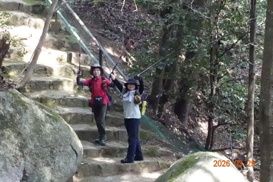 画像の説明 画像の説明