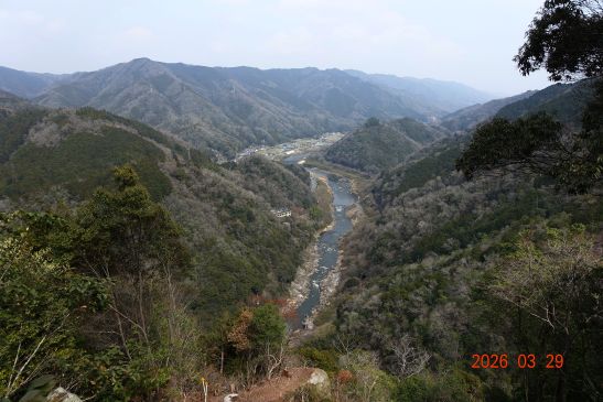 画像の説明 画像の説明